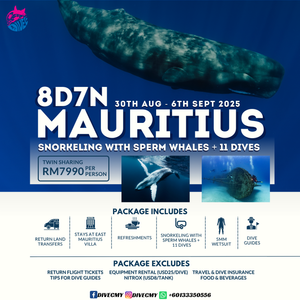 MAURITIUS WITH SPERM WHALE